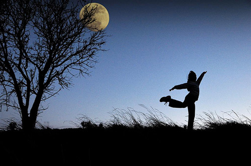 29 Beautiful Examples of Silhouette Photography - The Photo Argus