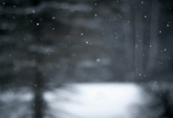 Helpful Tips for Shooting in the Snow - The Photo Argus