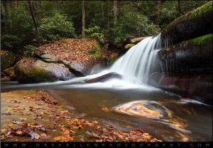 25 Beautiful Autumn Waterfall Pictures - The Photo Argus