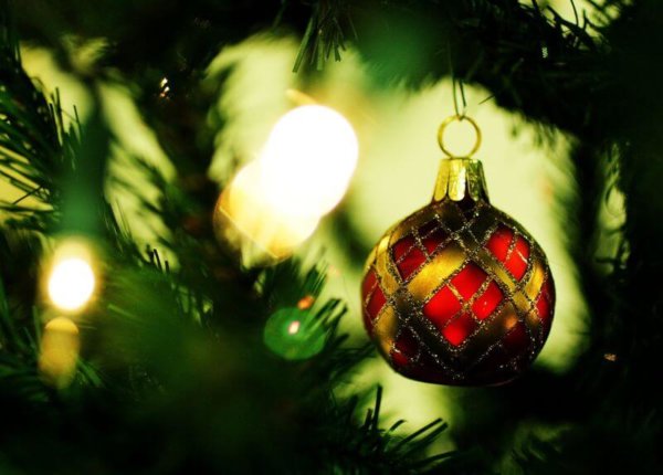 6 Fun Ideas for Your Christmas Photography - The Photo Argus