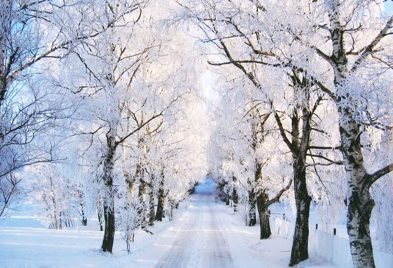 beautiful winter landscapes