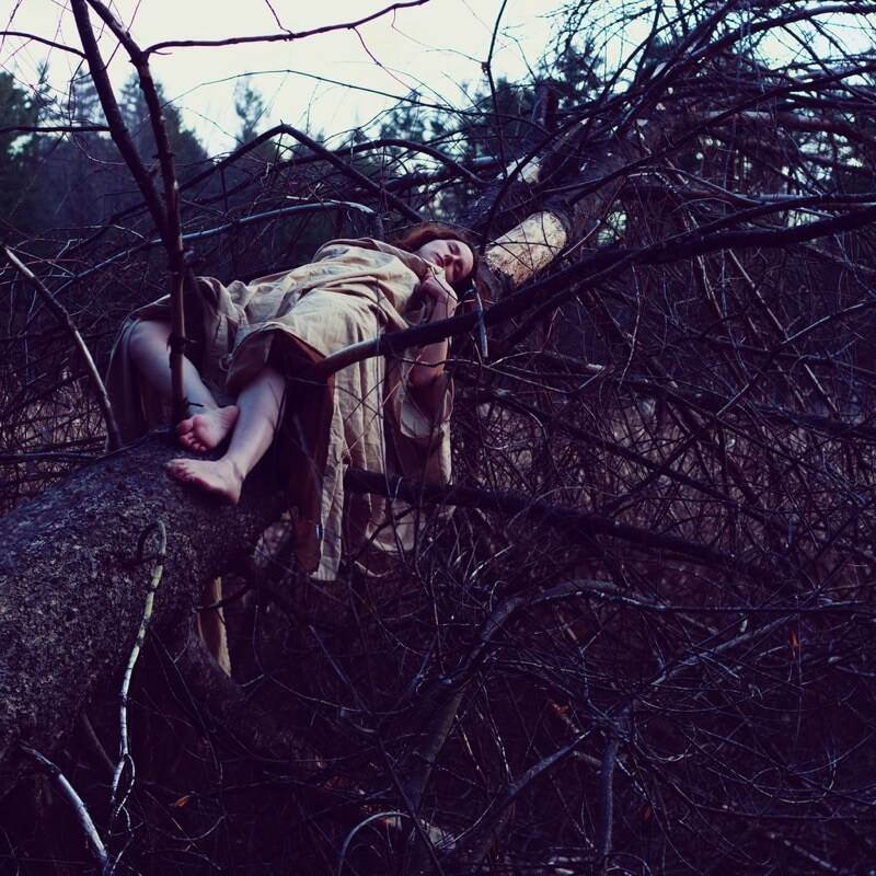 Sarah Ann Loreth girl sleeping in tree