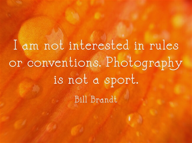 art photography quotes and sayings