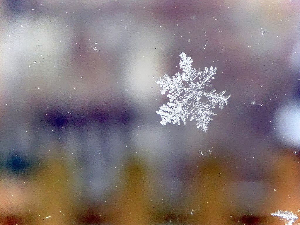 real snowflakes falling wallpaper
