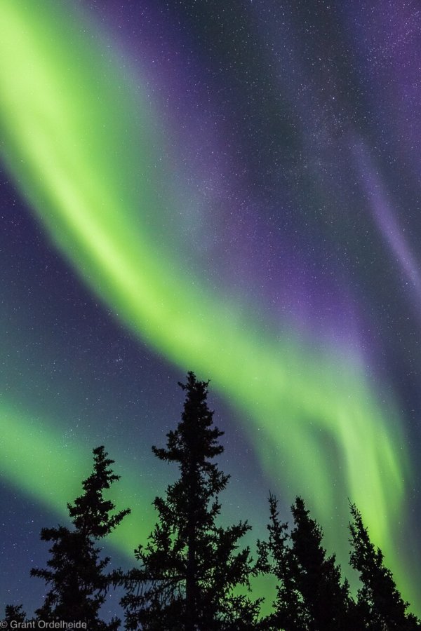 35 Gorgeous Pictures of the Northern Lights - The Photo Argus